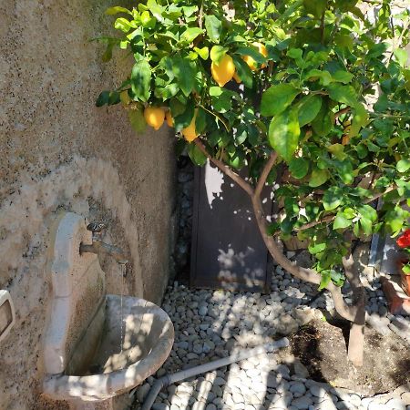 Villa Palima Moneglia Eksteriør bilde